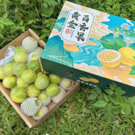 【礼盒装】海南钦蜜9号百香果 香甜多汁 海南钦蜜9号百香果