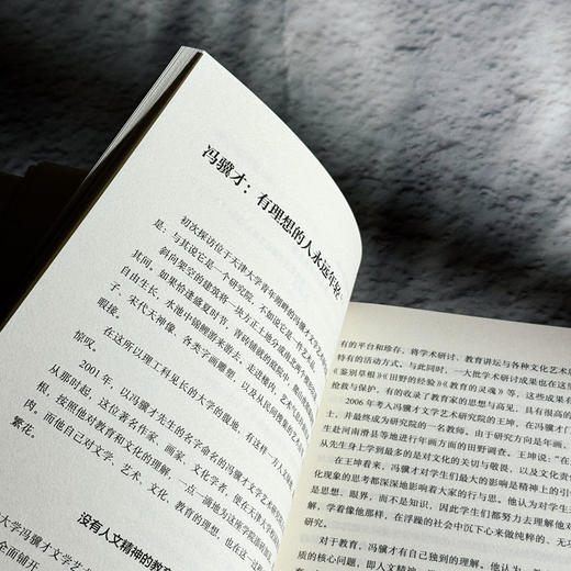 成就良师 探寻好教师成长路径 大夏书系 教师专业发展 禹跃昆 商品图10