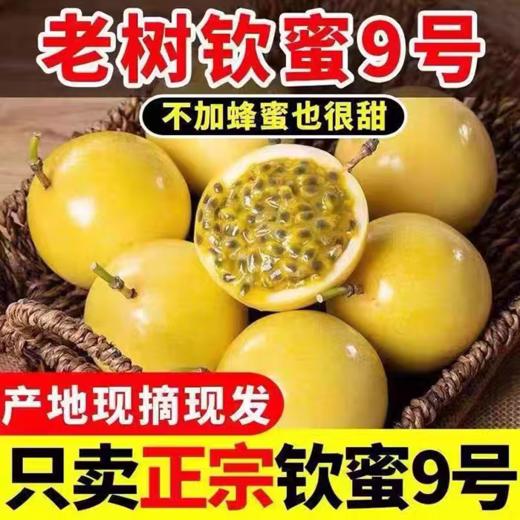 【云南红河▪钦蜜9号黄金百香果】顺丰包邮 酸甜多汁 果粒金黄饱满 果香浓郁 色泽艳丽 4种规格任选 商品图4