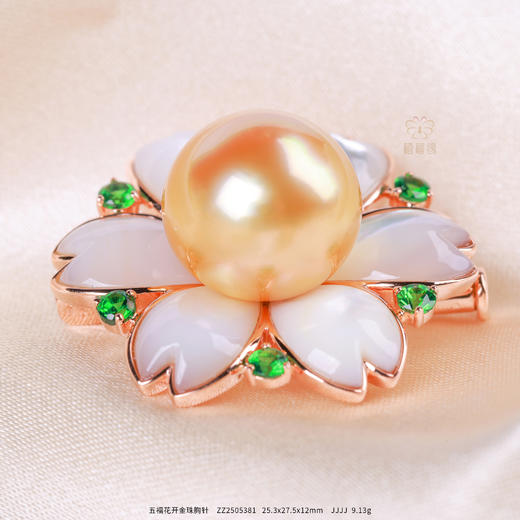 【金瑛向阳】金珠胸针    ZZ2505381 商品图0