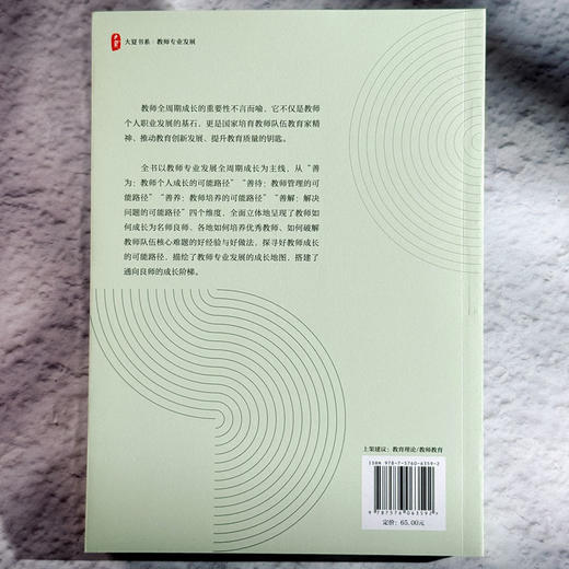 成就良师 探寻好教师成长路径 大夏书系 教师专业发展 禹跃昆 商品图2