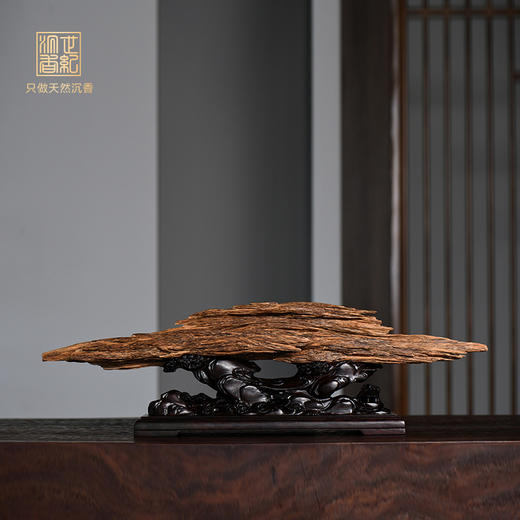 天然达拉干沉香原材摆件 540克 SP11969 商品图0