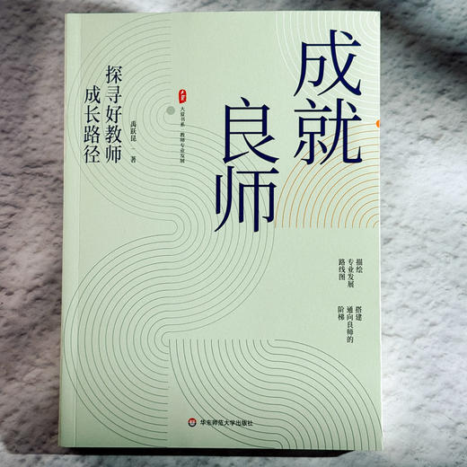 成就良师 探寻好教师成长路径 大夏书系 教师专业发展 禹跃昆 商品图1