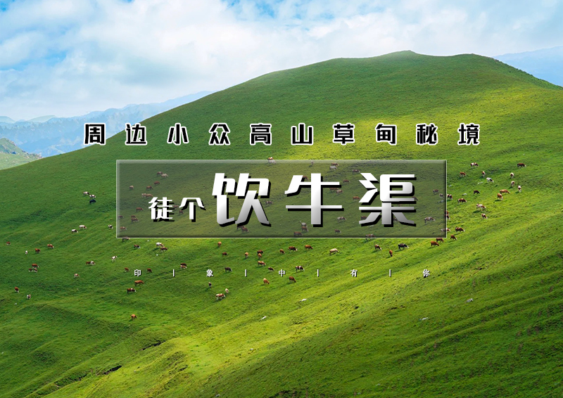 周六1日｜饮牛渠｜小众高山草甸秘境の饮牛渠-漫山野花+溪流牛羊+空中草原徒步穿越10公里<初级>