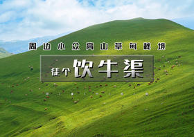 周六1日｜饮牛渠（特价98）｜小众高山草甸秘境の饮牛渠-漫山野花+溪流牛羊+空中草原徒步穿越10公里<初级>