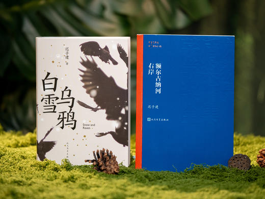 现货《生命如歌：迟子建文集》（全4册）｜国内同时问鼎茅盾文学奖、鲁迅文学奖、冰心散文奖的女作家，畅销500万册，感动亿万心灵 商品图2