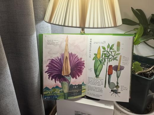 万物生・草木有灵——青少年共创博物绘 &3342 商品图2