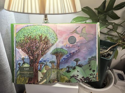 万物生・草木有灵——青少年共创博物绘 &3342 商品图3