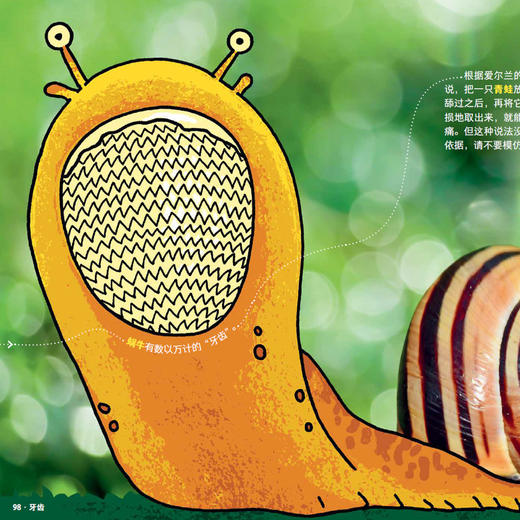 《大英儿童百科万万想不到》（共32册） 商品图8