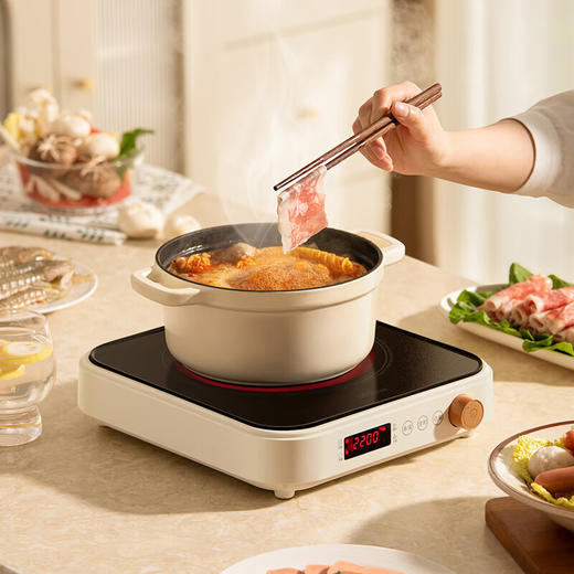 德世朗 电陶炉（围炉煮茶电陶炉） DDQ-ZJ703 商品图2