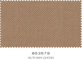 SCABAL 853579