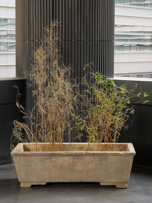 清	石雕长方赏盆 商品图1