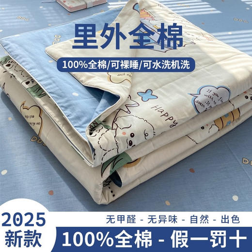 三泰龙 里外全棉新疆棉花芯春秋双人被【春秋被】 商品图9