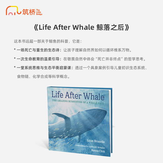 Life After Whale 鲸落之后 商品图1