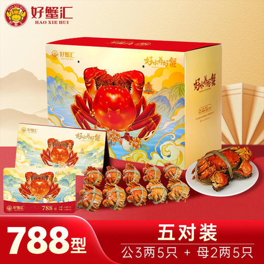 好蟹汇·阳澄湖大闸蟹卡788型盛元新生活螃蟹公3两/母2两五对装【盛元新生活·礼卡】 商品图0
