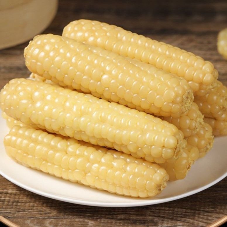 云南西双版纳拇指玉米