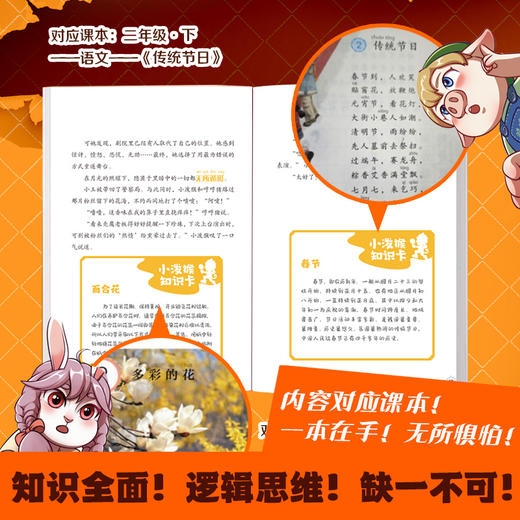 【童趣】实习侦探小泼猴 全套6册 商品图4