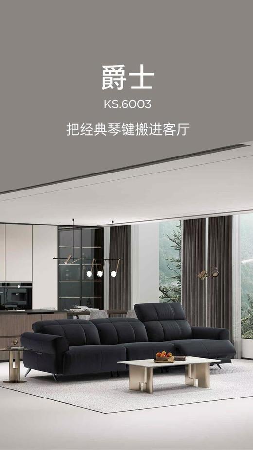 顾家KS.6003沙发 商品图0