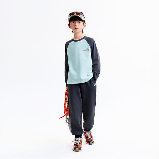 【实体店同款】男童圆领长袖针织衫秋季新款安奈儿童装AB531148 商品图3