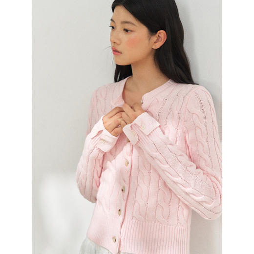 Ariseism 美式复古绞花毛衣女秋季新款修身针织上衣 商品图1