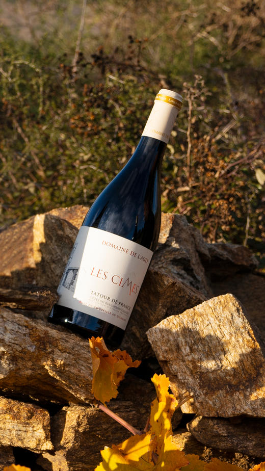 第147期丨雄鹰酒庄圣峰干红葡萄酒 商品图2