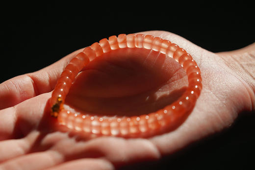 金色Labubu｜南红直切 商品图4