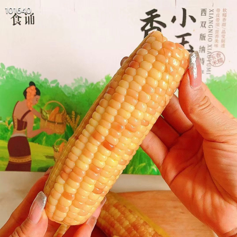 云南西双版纳香糯小玉米