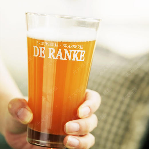 酒杯 德兰克品托杯 商品图0