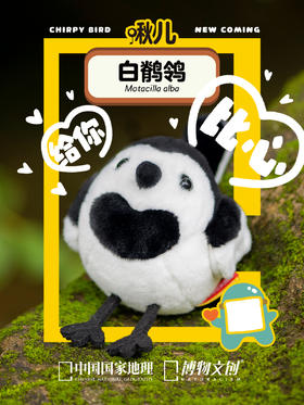 小机灵尾巴↕打着节拍走来了！