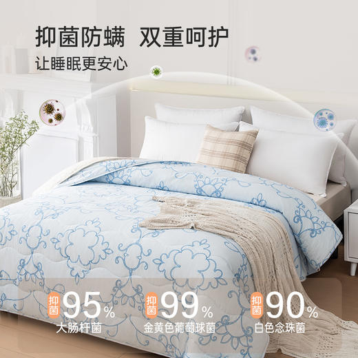雅芳婷深睡柔暖子母被二合一套被抑菌防螨免被套被子被芯四季通用 商品图2