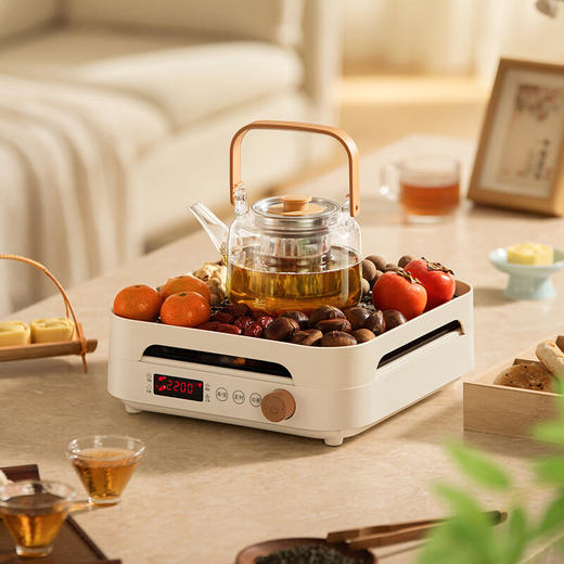 德世朗 电陶炉（围炉煮茶电陶炉） DDQ-ZJ703 商品图4