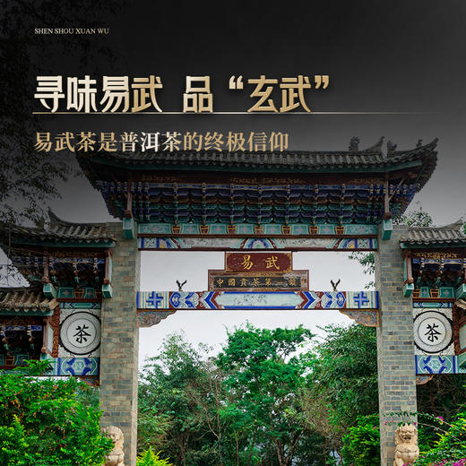 仅余十几提！！【神兽—玄武】2025年春茶 易武斗茶大会金奖产品 神兽事业部独立出品 普洱茶生茶 1箱内含5饼*357克礼盒装 拍5箱发6箱 商品图6