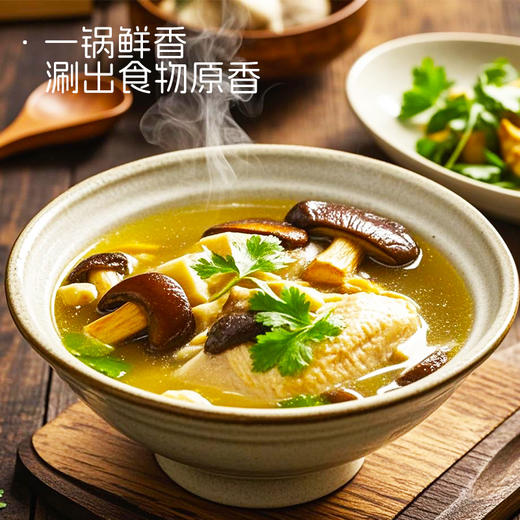 【高原采超级有料】云南汤锅底料  牛肝菌鸡汤风味 袋装  150g  四季进补佳品！ 商品图2