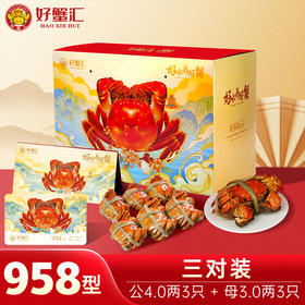 好蟹汇·阳澄湖大闸蟹卡958型雄蟹4两/雌蟹3两三对装【盛元新生活·礼卡】