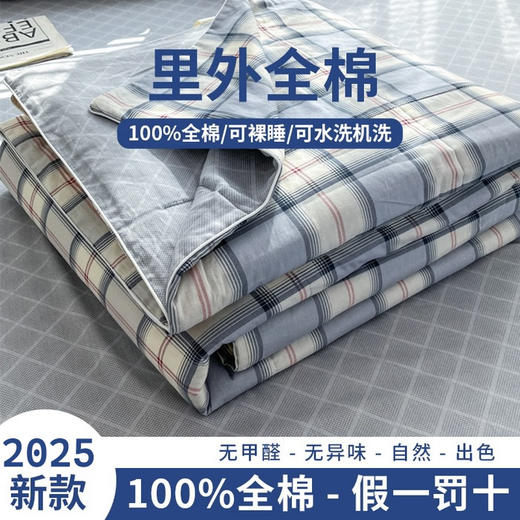 三泰龙 里外全棉新疆棉花芯春秋双人被【春秋被】 商品图11