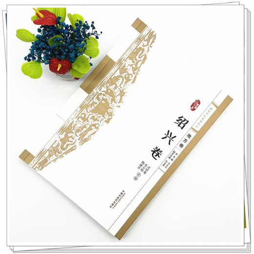 浙派中医:绍兴卷 浙派中医系列丛书（地方卷）沈钦荣 毛小明 陶建华 主编 中国中医药出版社 商品图1