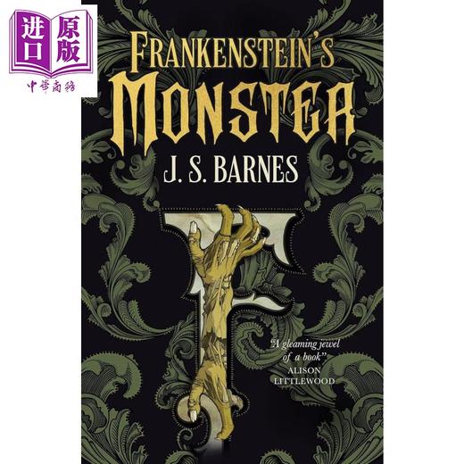 【中商原版】弗兰肯斯坦的怪物 Frankensteins Monster 英文原版 JS Barnes 续集 玛丽雪莱经典风格 商品图0