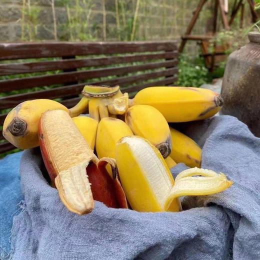 农家自然熟苹果蕉香蕉 商品图4