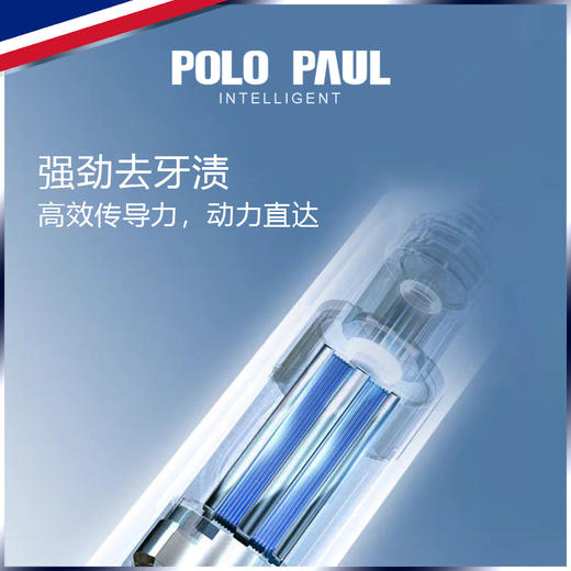 保罗国际 电动牙刷 全机身防水 智能定时 3种模式 轻巧便携 商品图2