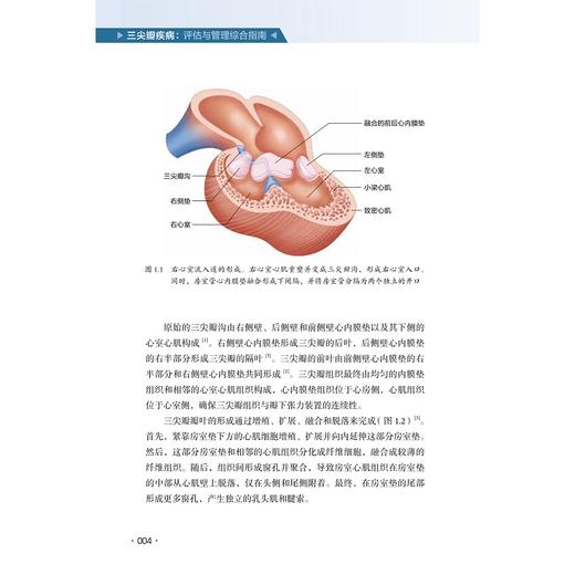 三尖瓣疾病: 评估与管理综合指南/胡盛寿院士王春生教授作序推荐/[美]汉西·马特利尔/[美]斯科特·M. 利利/[美]萨提亚·斯里尼瓦斯 原著主编/马量/李伟栋 主译/浙江大学出版社 商品图2