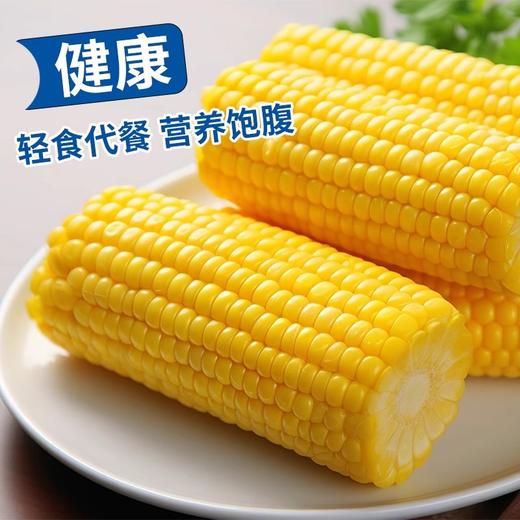 2025年头茬山西新鲜甜糯玉米 商品图0