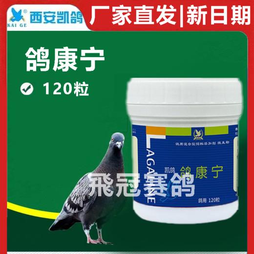 凯鸽鸽康宁胶囊120粒赛鸽信鸽子保健日常 商品图1