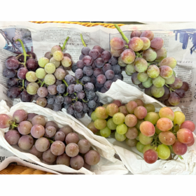 【“葡”写浪漫】新鲜水果 郧阳区万家坪葡萄 巨玫瑰/BK/老巨峰/枫香月混合组合装 1筐（带筐5斤以上）十堰主城区包邮