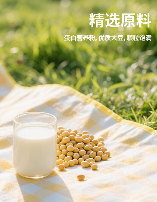 SC 羊乳无加蔗糖蛋白质粉   1千克/桶   有效期20280101 商品图4