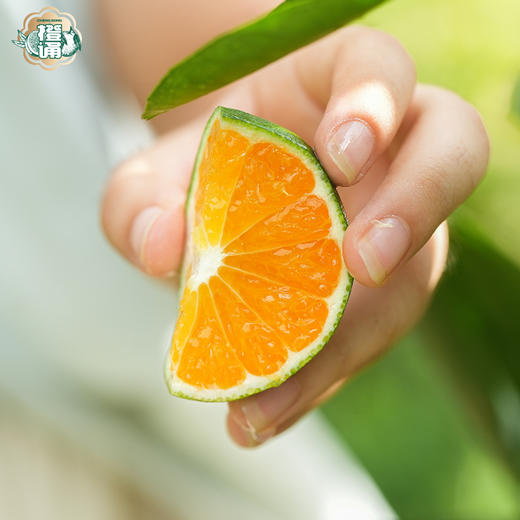 橙诵江西寻乌蜜桔 3-4.5斤装 橘子新鲜水果 顺丰/京东直发 商品图5