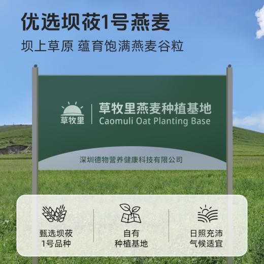 【甄选多种食材】草牧里 益生元藜麦燕麦片 300g/袋 每日多元营养新选择 商品图2