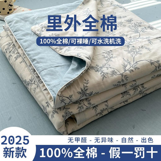 三泰龙 里外全棉新疆棉花芯春秋双人被【春秋被】 商品图13