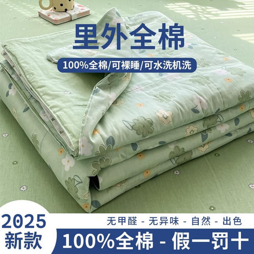 三泰龙 里外全棉新疆棉花芯春秋双人被【春秋被】 商品图7
