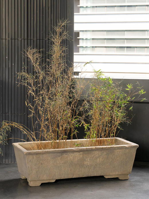 清	石雕长方赏盆 商品图2