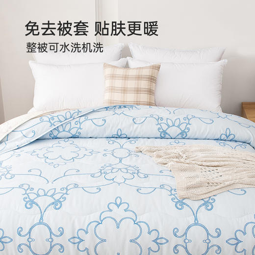 雅芳婷深睡柔暖子母被二合一套被抑菌防螨免被套被子被芯四季通用 商品图4